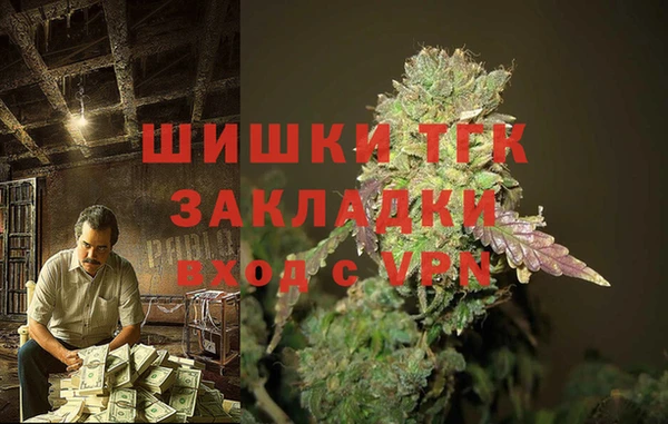 тгк Абдулино