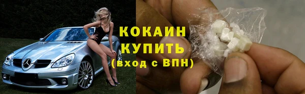 дживик Абинск