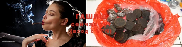 индика Надым