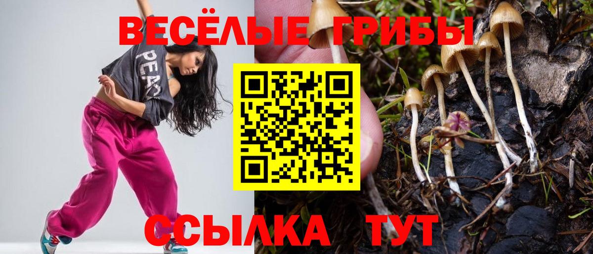 Нижневартовск  Псилоцибиновые грибы Cubensis  Псилоцибиновые грибы Psilocybe  купить закладку  Вход с VPN 