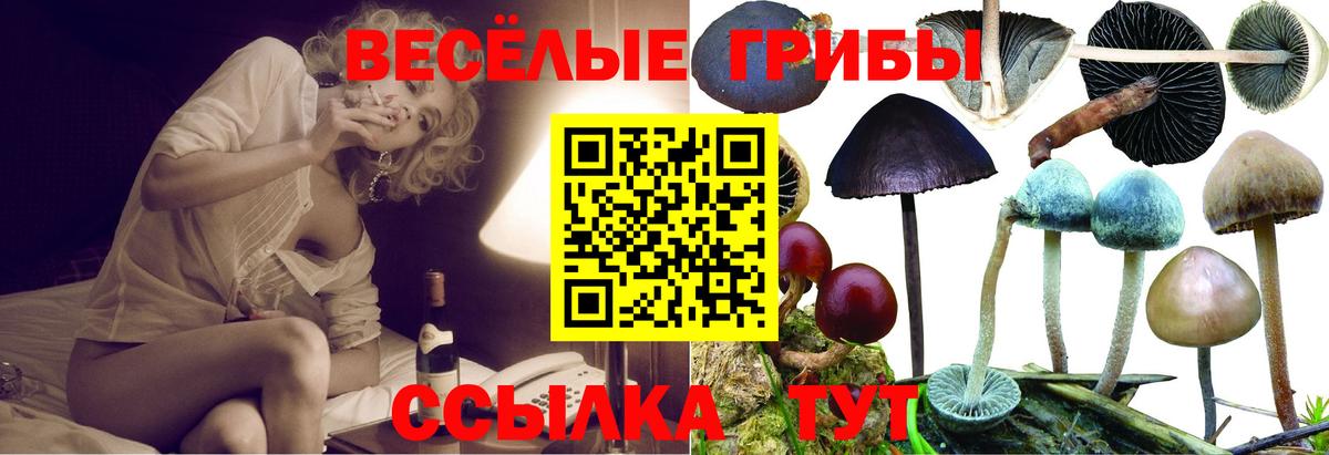 ГАШ Нижневартовск